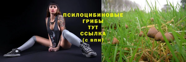 ГАЛЛЮЦИНОГЕННЫЕ ГРИБЫ Баксан