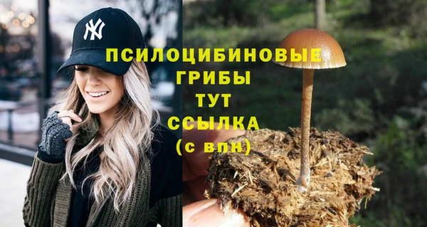 мяу мяу мука Каменка